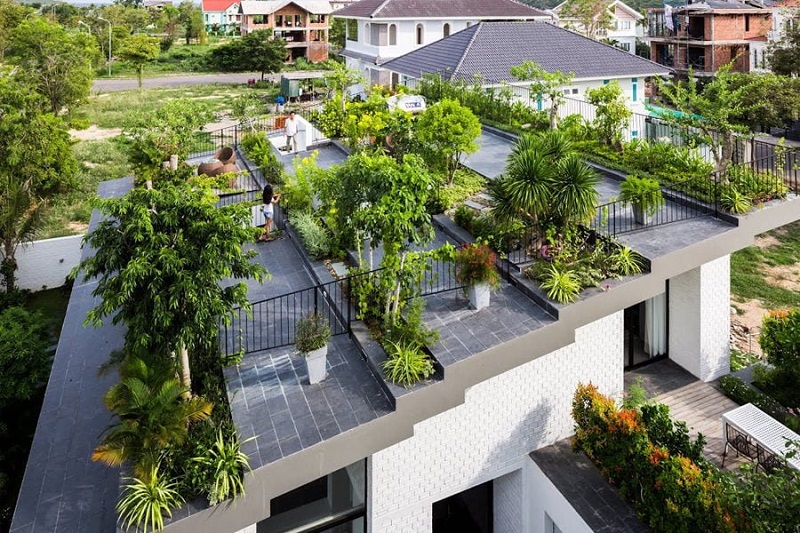 Cách chống nóng mái nhà bê tông bằng cách trồng cây trên mái
